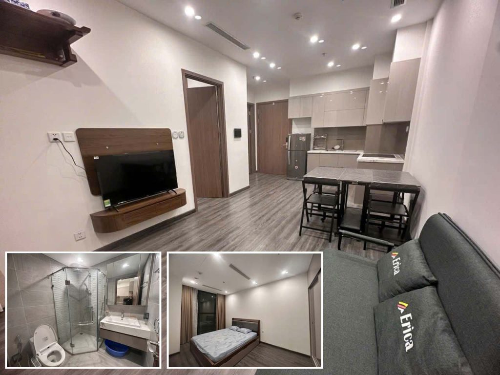 Căn hộ 1 phòng ngủ 45m2 tòa TK2 Vinhomes Smart City cho thuê full nội thất